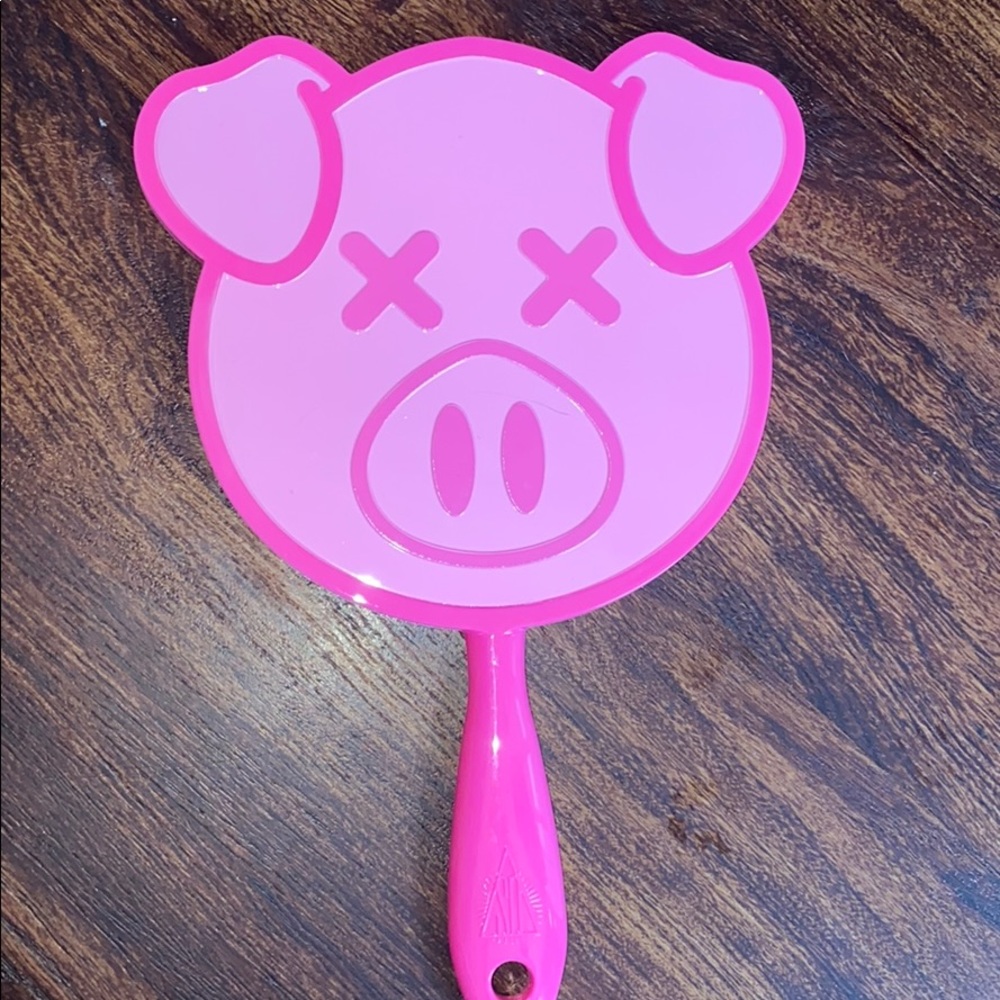 Shane Dawson pig mirror